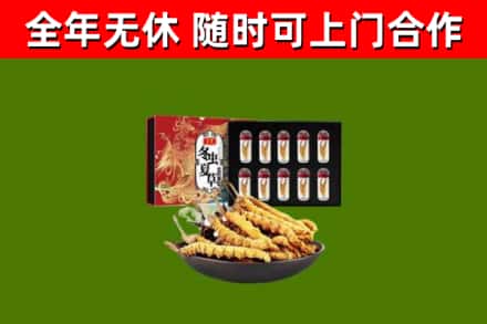 巴中回收冬虫夏草价格